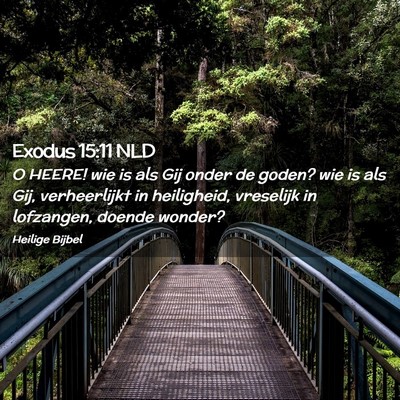 Picture 02 - Exodus 15:11 NLD - O HEERE! wie is als Gij onder de goden? wie is - Bible Verse Picture