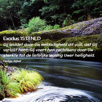 Picture 02 - Exodus 15:13 NLD - Gij leiddet door Uw weldadigheid dit volk, dat - Bible Verse Picture