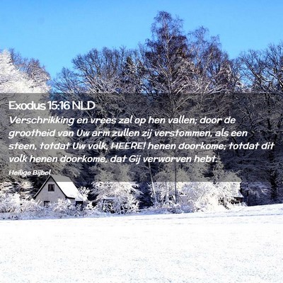 Picture 02 - Exodus 15:16 NLD - Verschrikking en vrees zal op hen vallen; door de - Bible Verse Picture