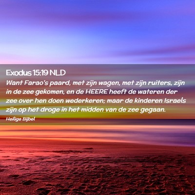 Picture 02 - Exodus 15:19 NLD - Want Farao's paard, met zijn wagen, met zijn - Bible Verse Picture