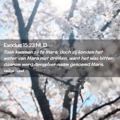 Picture 02 - Exodus 15:23 NLD - Toen kwamen zij te Mara; doch zij konden het - Bible Verse Picture