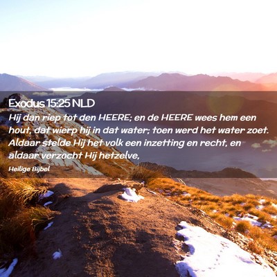 Picture 02 - Exodus 15:25 NLD - Hij dan riep tot den HEERE; en de HEERE wees hem - Bible Verse Picture