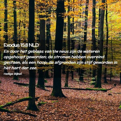 Picture 02 - Exodus 15:8 NLD - En door het geblaas van Uw neus zijn de wateren - Bible Verse Picture