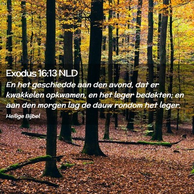 Picture 02 - Exodus 16:13 NLD - En het geschiedde aan den avond, dat er kwakkelen - Bible Verse Picture