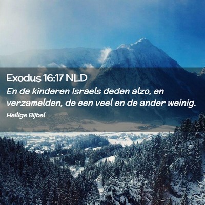 Picture 02 - Exodus 16:17 NLD - En de kinderen Israels deden alzo, en - Bible Verse Picture