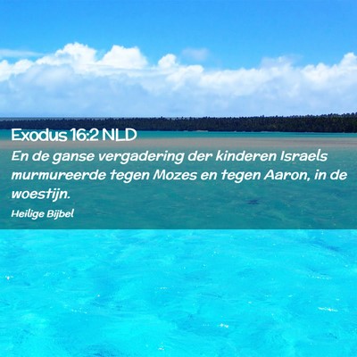 Picture 02 - Exodus 16:2 NLD - En de ganse vergadering der kinderen Israels - Bible Verse Picture