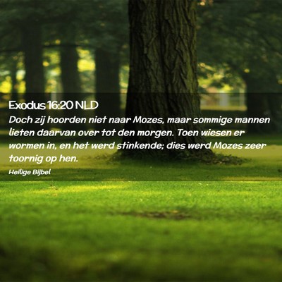 Picture 02 - Exodus 16:20 NLD - Doch zij hoorden niet naar Mozes, maar sommige - Bible Verse Picture