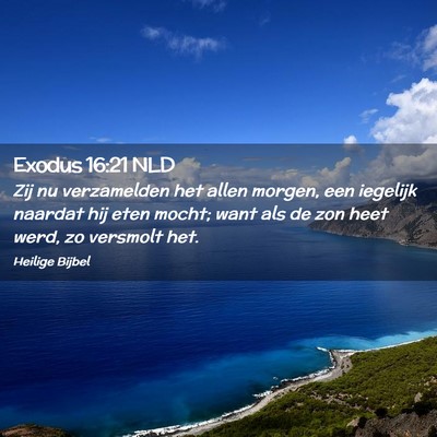 Picture 02 - Exodus 16:21 NLD - Zij nu verzamelden het allen morgen, een iegelijk - Bible Verse Picture