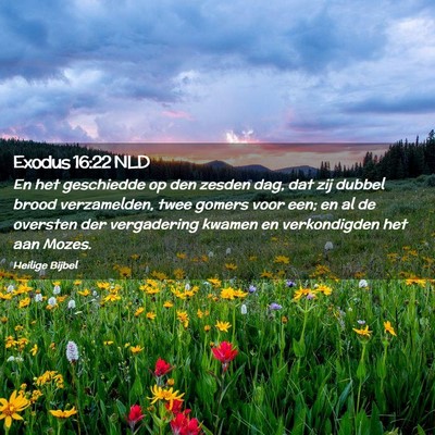 Picture 02 - Exodus 16:22 NLD - En het geschiedde op den zesden dag, dat zij - Bible Verse Picture