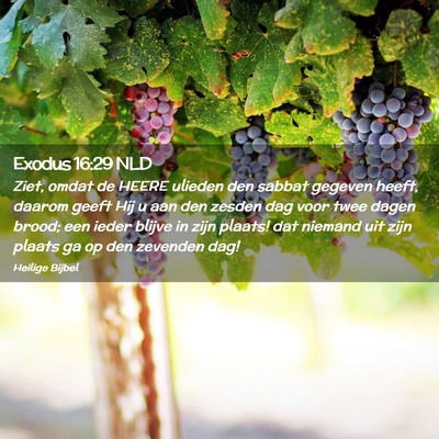 Picture 02 - Exodus 16:29 NLD - Ziet, omdat de HEERE ulieden den sabbat gegeven - Bible Verse Picture
