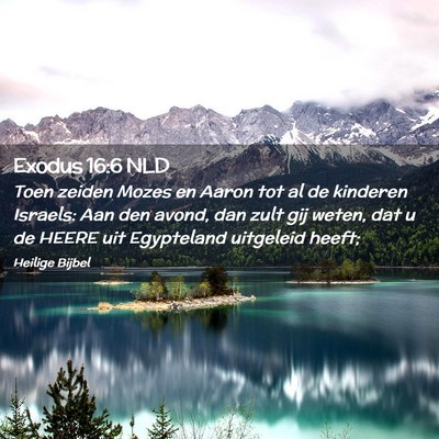 Picture 02 - Exodus 16:6 NLD - Toen zeiden Mozes en Aaron tot al de kinderen - Bible Verse Picture