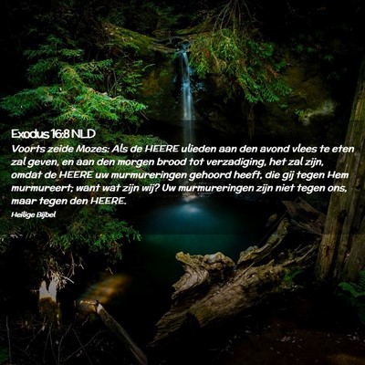 Picture 02 - Exodus 16:8 NLD - Voorts zeide Mozes: Als de HEERE ulieden aan den - Bible Verse Picture