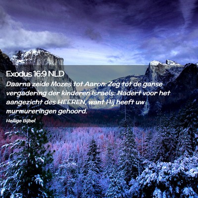 Picture 02 - Exodus 16:9 NLD - Daarna zeide Mozes tot Aaron: Zeg tot de ganse - Bible Verse Picture