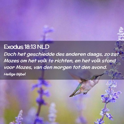 Picture 02 - Exodus 18:13 NLD - Doch het geschiedde des anderen daags, zo zat - Bible Verse Picture