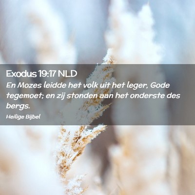 Picture 02 - Exodus 19:17 NLD - En Mozes leidde het volk uit het leger, Gode - Bible Verse Picture