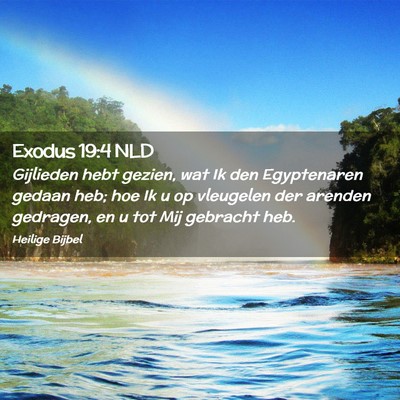 Picture 02 - Exodus 19:4 NLD - Gijlieden hebt gezien, wat Ik den Egyptenaren - Bible Verse Picture