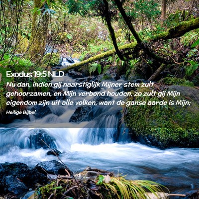 Picture 02 - Exodus 19:5 NLD - Nu dan, indien gij naarstiglijk Mijner stem zult - Bible Verse Picture