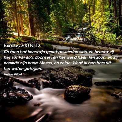 Picture 02 - Exodus 2:10 NLD - En toen het knechtje groot geworden was, zo - Bible Verse Picture