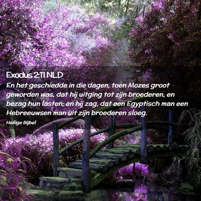 Picture 02 - Exodus 2:11 NLD - En het geschiedde in die dagen, toen Mozes groot - Bible Verse Picture