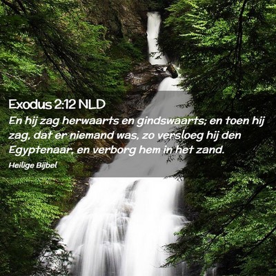 Picture 02 - Exodus 2:12 NLD - En hij zag herwaarts en gindswaarts; en toen hij - Bible Verse Picture