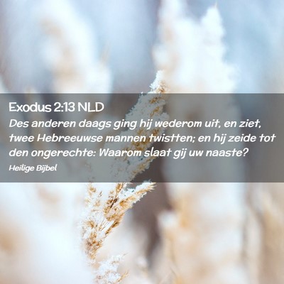 Picture 02 - Exodus 2:13 NLD - Des anderen daags ging hij wederom uit, en ziet, - Bible Verse Picture