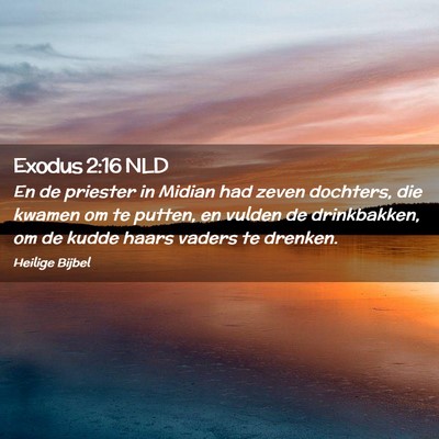 Picture 02 - Exodus 2:16 NLD - En de priester in Midian had zeven dochters, die - Bible Verse Picture