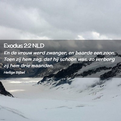 Picture 02 - Exodus 2:2 NLD - En de vrouw werd zwanger, en baarde een zoon. - Bible Verse Picture