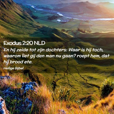 Picture 02 - Exodus 2:20 NLD - En hij zeide tot zijn dochters: Waar is hij toch, - Bible Verse Picture
