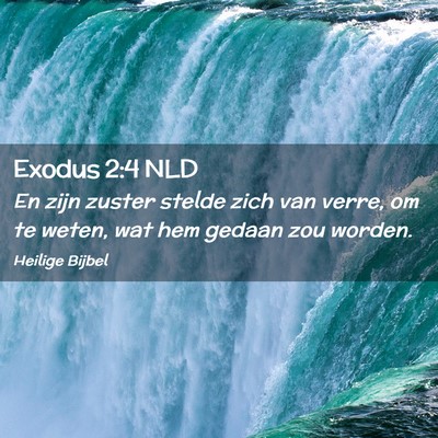 Picture 02 - Exodus 2:4 NLD - En zijn zuster stelde zich van verre, om te - Bible Verse Picture