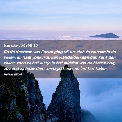 Picture 02 - Exodus 2:5 NLD - En de dochter van Farao ging af, om zich te - Bible Verse Picture