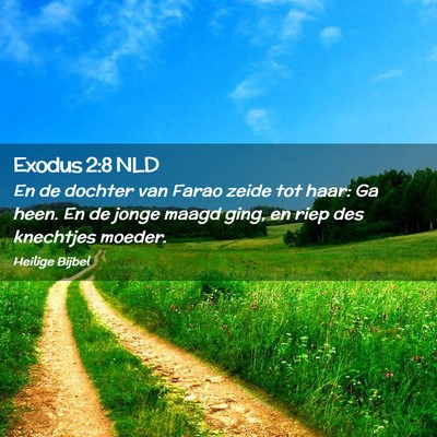 Picture 02 - Exodus 2:8 NLD - En de dochter van Farao zeide tot haar: Ga heen. - Bible Verse Picture