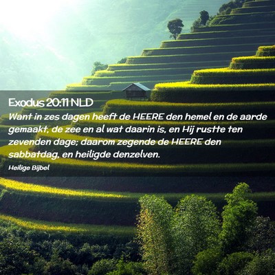 Picture 02 - Exodus 20:11 NLD - Want in zes dagen heeft de HEERE den hemel en de - Bible Verse Picture