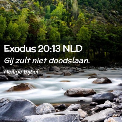 Picture 02 - Exodus 20:13 NLD - Gij zult niet - Bible Verse Picture