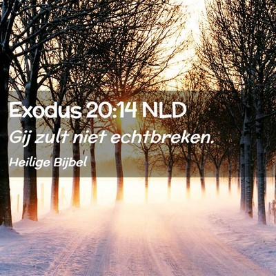 Picture 02 - Exodus 20:14 NLD - Gij zult niet - Bible Verse Picture