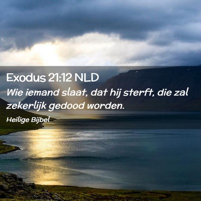 Picture 02 - Exodus 21:12 NLD - Wie iemand slaat, dat hij sterft, die zal - Bible Verse Picture
