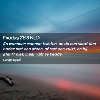 Picture 02 - Exodus 21:18 NLD - En wanneer mannen twisten, en de een slaat den - Bible Verse Picture