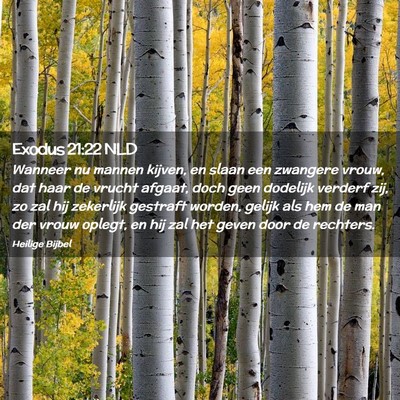 Picture 02 - Exodus 21:22 NLD - Wanneer nu mannen kijven, en slaan een zwangere - Bible Verse Picture