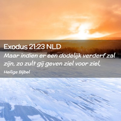 Picture 02 - Exodus 21:23 NLD - Maar indien er een dodelijk verderf zal zijn, zo - Bible Verse Picture
