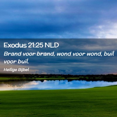 Picture 02 - Exodus 21:25 NLD - Brand voor brand, wond voor wond, buil voor - Bible Verse Picture