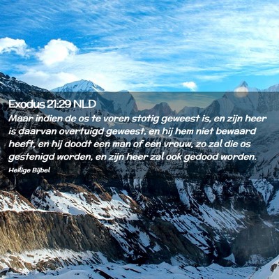 Picture 02 - Exodus 21:29 NLD - Maar indien de os te voren stotig geweest is, en - Bible Verse Picture
