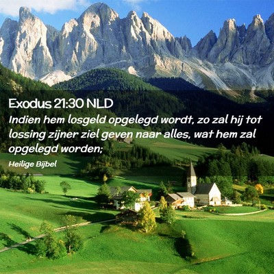 Picture 02 - Exodus 21:30 NLD - Indien hem losgeld opgelegd wordt, zo zal hij tot - Bible Verse Picture