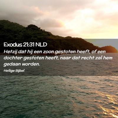 Picture 02 - Exodus 21:31 NLD - Hetzij dat hij een zoon gestoten heeft, of een - Bible Verse Picture