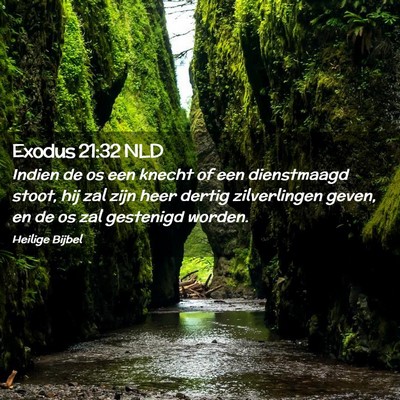 Picture 02 - Exodus 21:32 NLD - Indien de os een knecht of een dienstmaagd stoot, - Bible Verse Picture