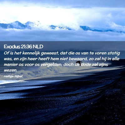 Picture 02 - Exodus 21:36 NLD - Of is het kennelijk geweest, dat die os van te - Bible Verse Picture