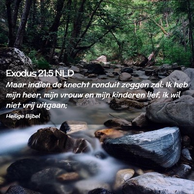 Picture 02 - Exodus 21:5 NLD - Maar indien de knecht ronduit zeggen zal: Ik heb - Bible Verse Picture