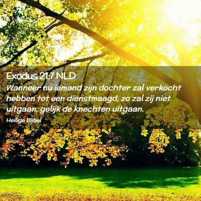 Picture 02 - Exodus 21:7 NLD - Wanneer nu iemand zijn dochter zal verkocht - Bible Verse Picture