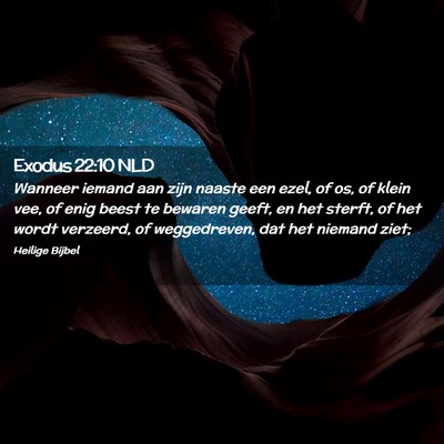 Picture 02 - Exodus 22:10 NLD - Wanneer iemand aan zijn naaste een ezel, of os, - Bible Verse Picture
