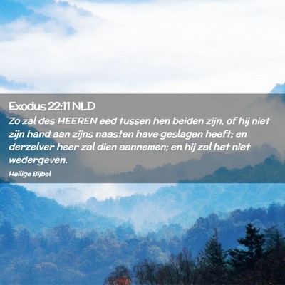 Picture 02 - Exodus 22:11 NLD - Zo zal des HEEREN eed tussen hen beiden zijn, of - Bible Verse Picture