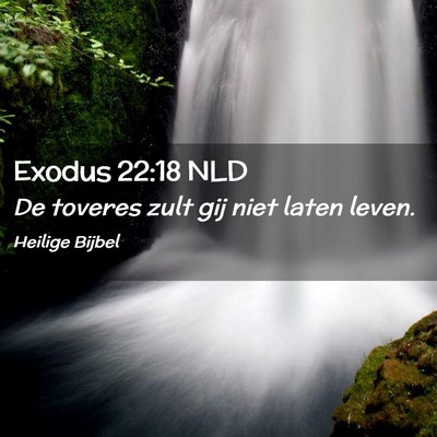 Picture 02 - Exodus 22:18 NLD - De toveres zult gij niet laten - Bible Verse Picture