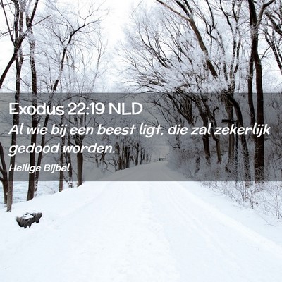 Picture 02 - Exodus 22:19 NLD - Al wie bij een beest ligt, die zal zekerlijk - Bible Verse Picture